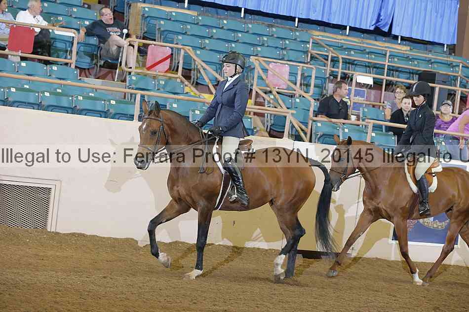 Proof 13yn_20145