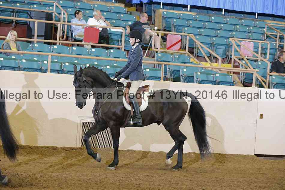 Proof 13yn_20146