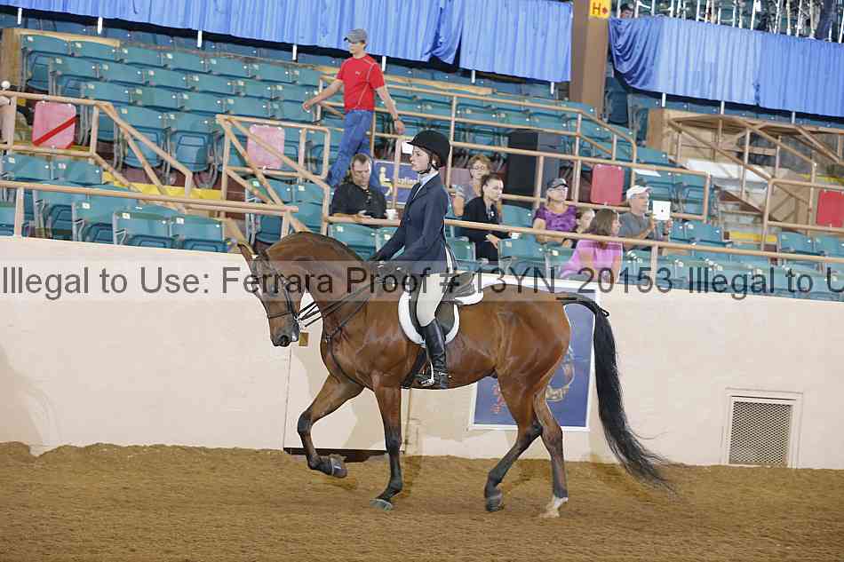 Proof 13yn_20153