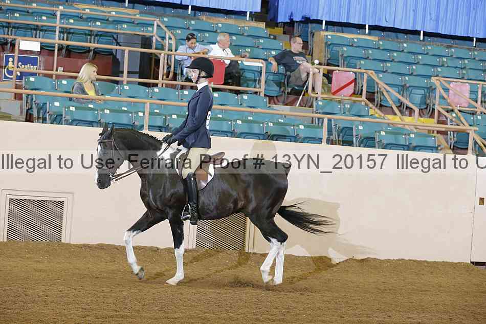 Proof 13yn_20157