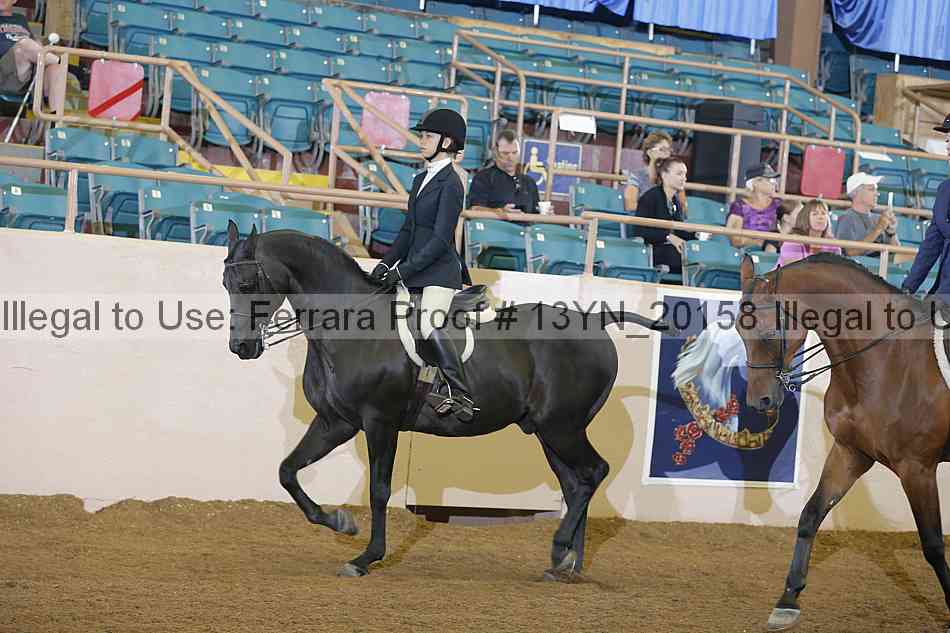 Proof 13yn_20158