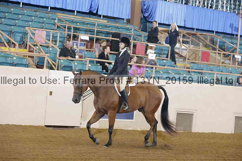 Proof 13yn_20159