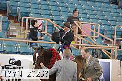 13yn_20263 proof