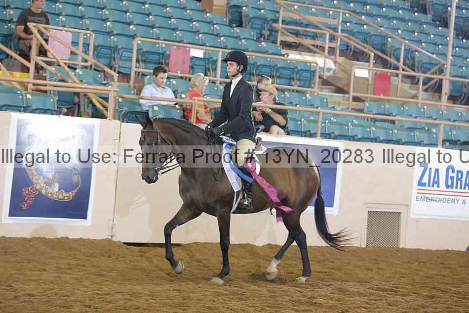 Proof 13yn_20283