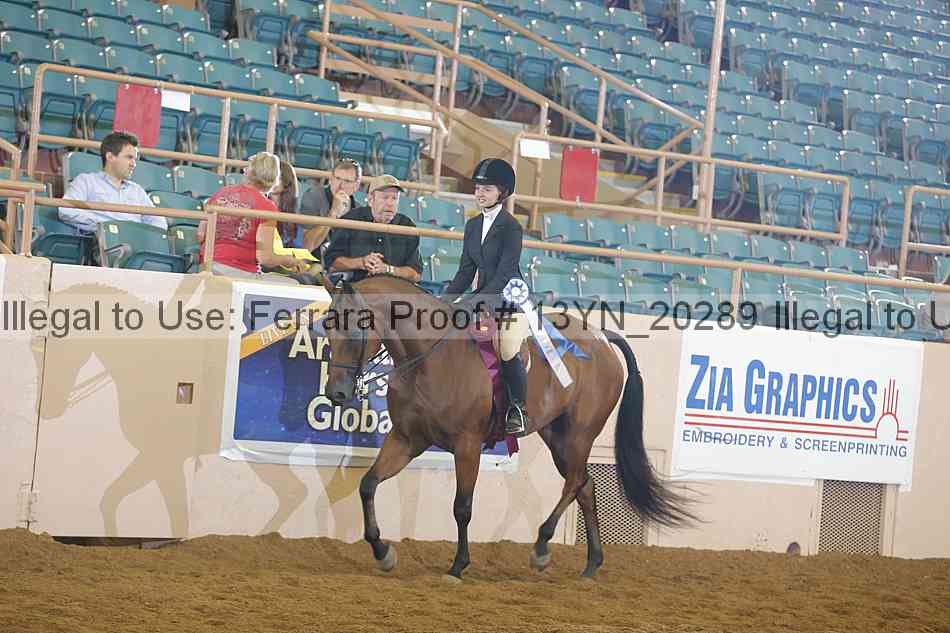 Proof 13yn_20289