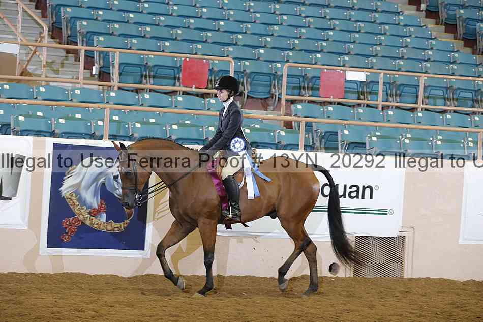 Proof 13yn_20292