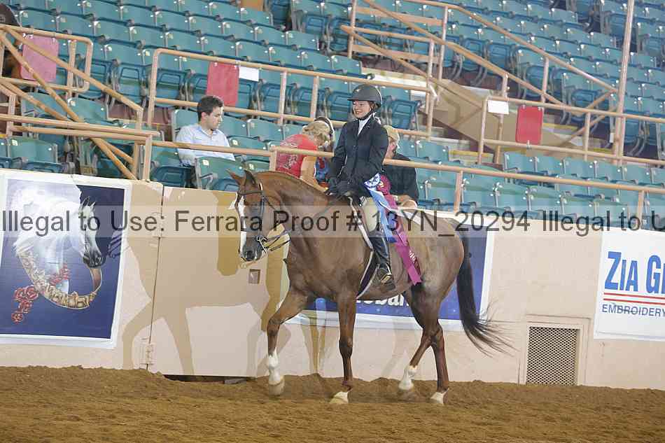 Proof 13yn_20294