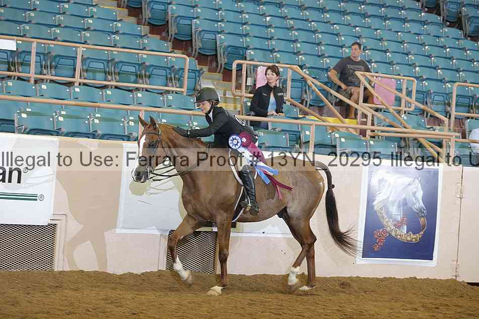 Proof 13yn_20295