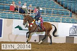13yn_20314 proof