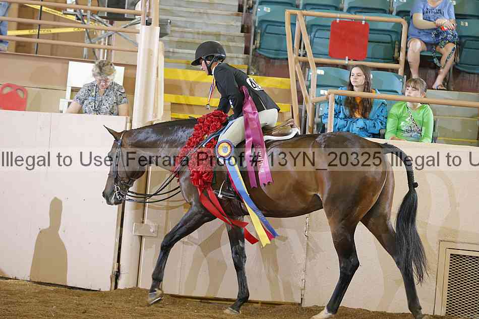 Proof 13yn_20325