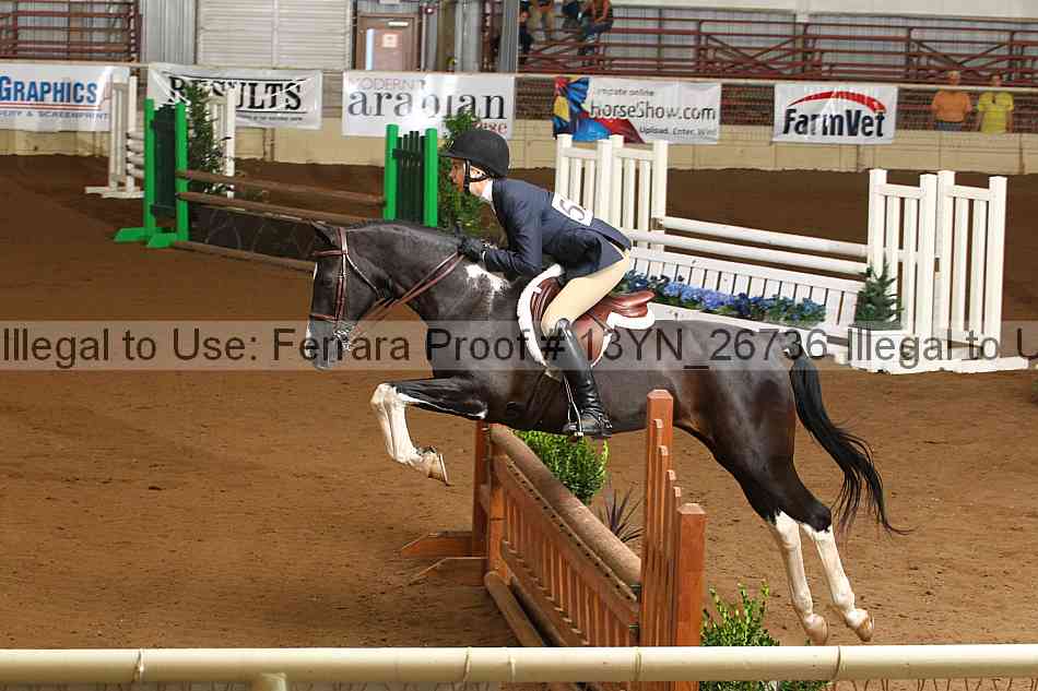 Proof 13yn_26736