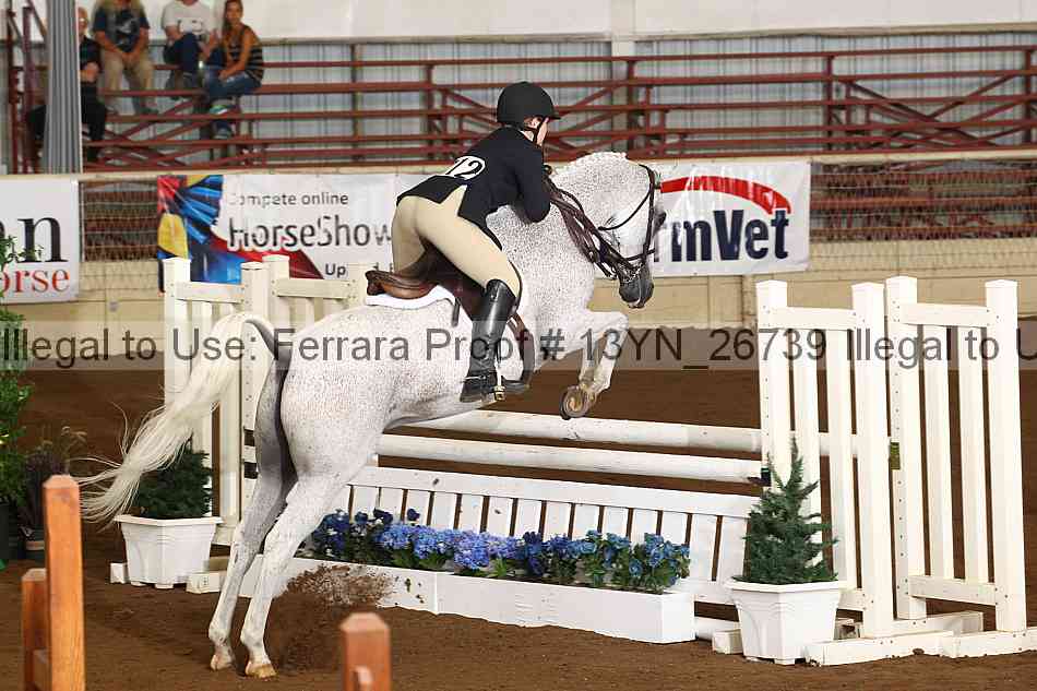 Proof 13yn_26739