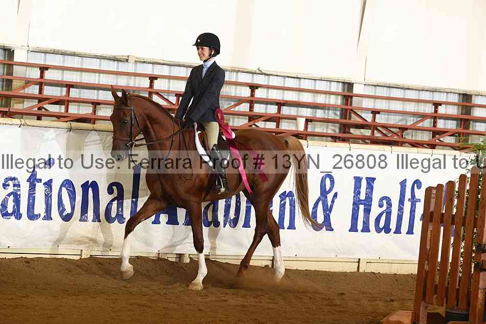 Proof 13yn_26808
