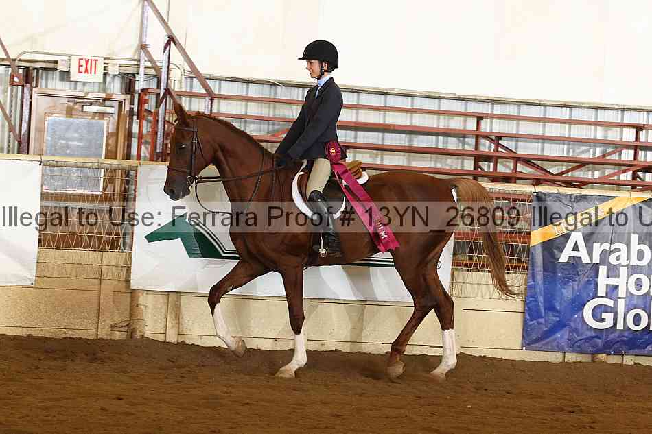 Proof 13yn_26809