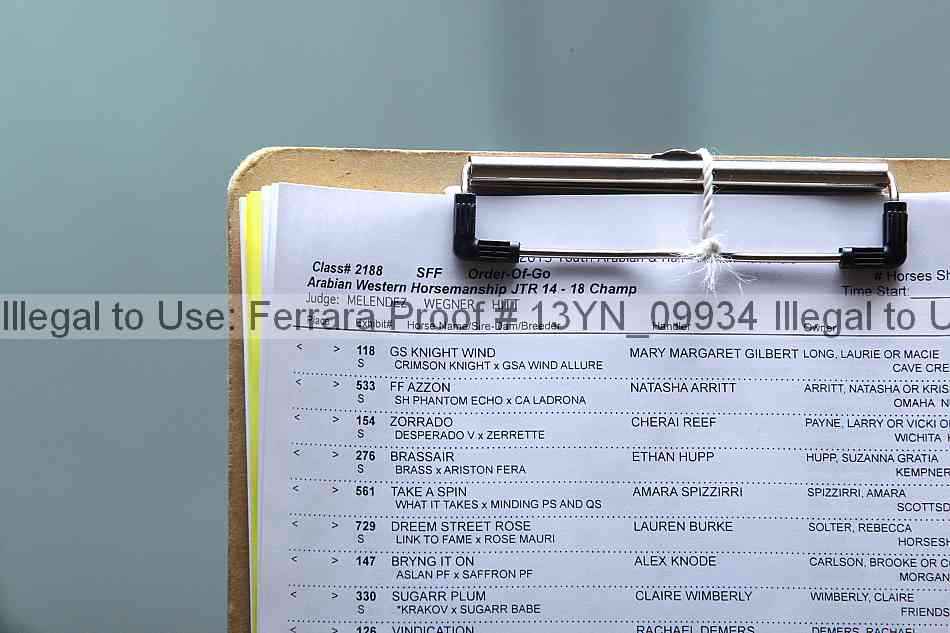 Proof 13yn_09934