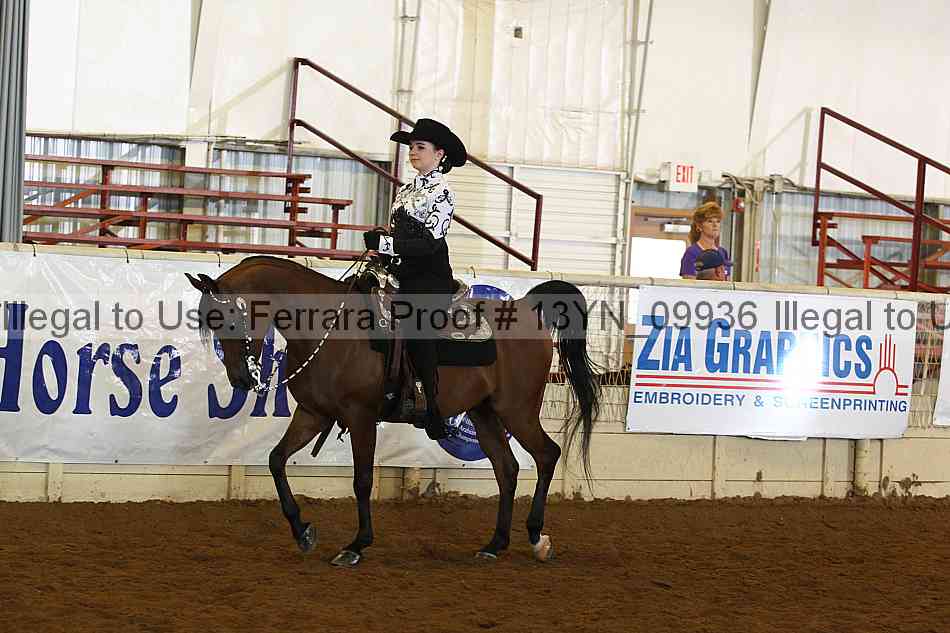 Proof 13yn_09936