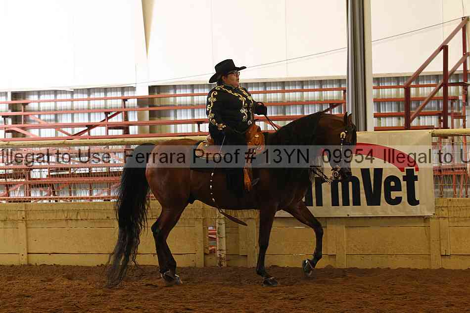 Proof 13yn_09954