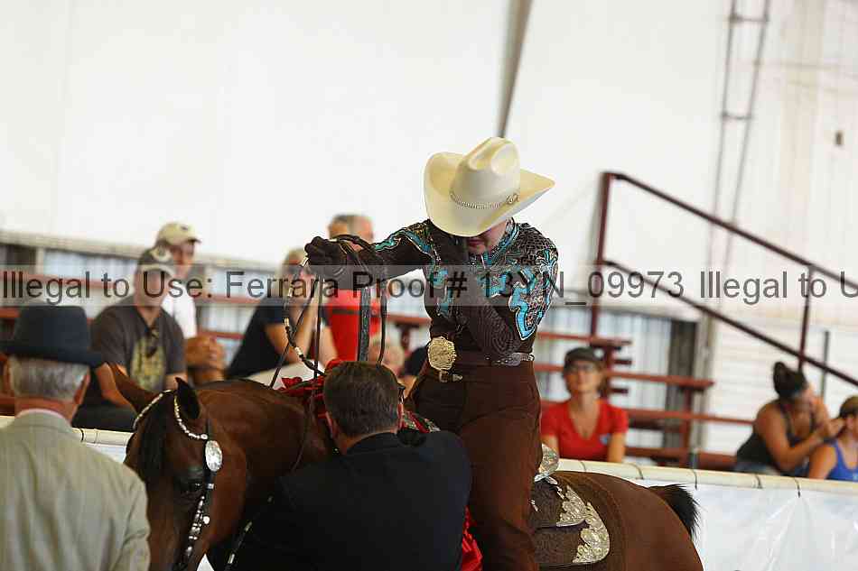 Proof 13yn_09973