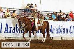 13yn_09984 proof