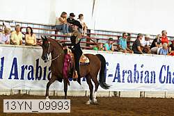 13yn_09993 proof