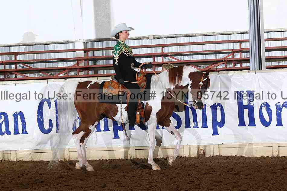 Proof 13yn_05742