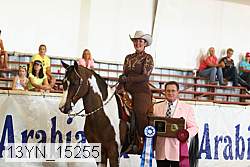 13yn_15255 proof