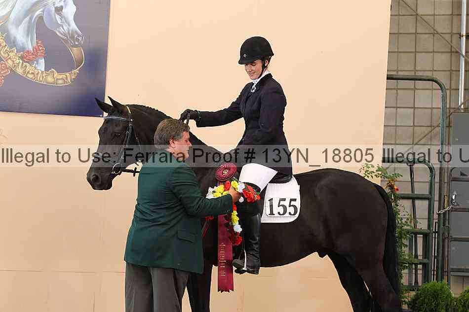 Proof 13yn_18805