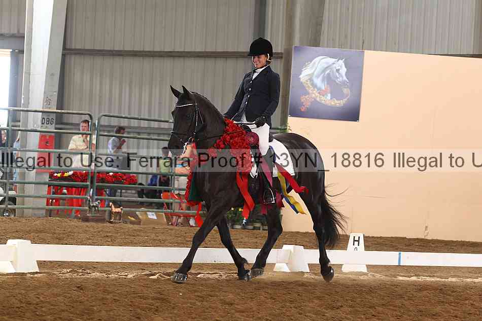Proof 13yn_18816