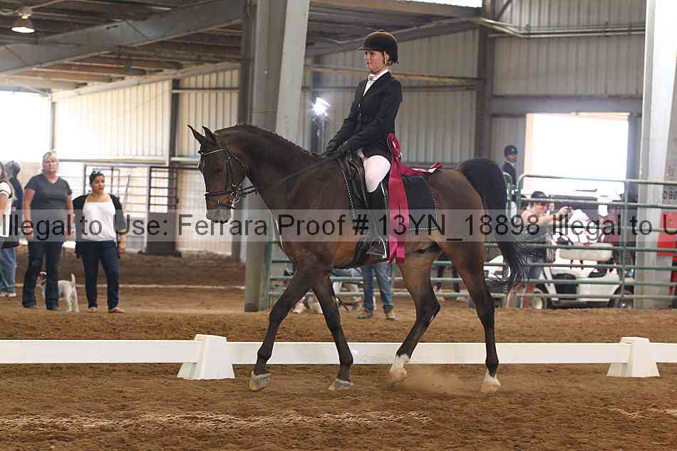 Proof 13yn_18898