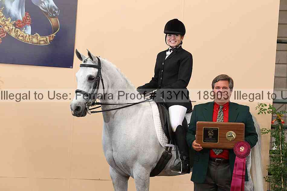 Proof 13yn_18903