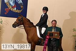 13yn_19817 proof