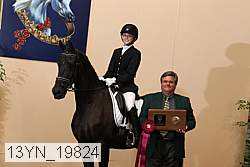 13yn_19824 proof