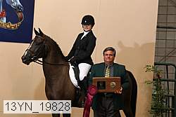13yn_19828 proof
