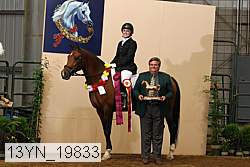 13yn_19833 proof