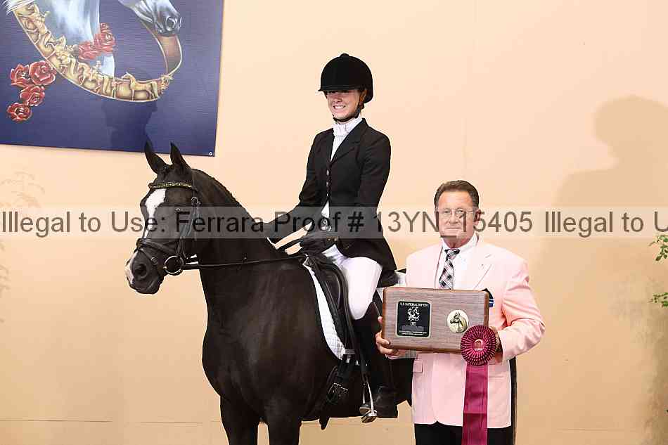Proof 13yn_15405
