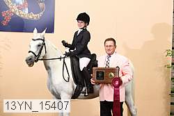 13yn_15407 proof