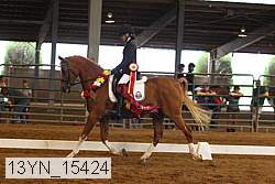 13yn_15424 proof