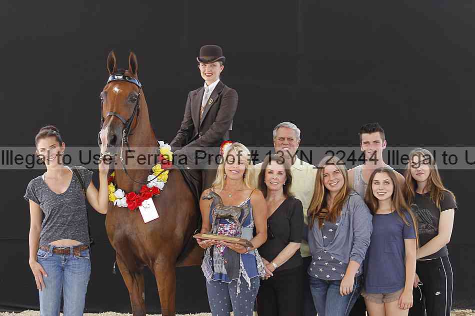 Proof 13yn_22444