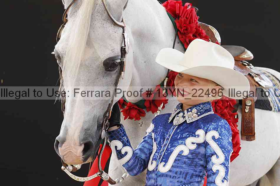 Proof 13yn_22496