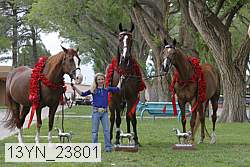 13yn_23801 proof