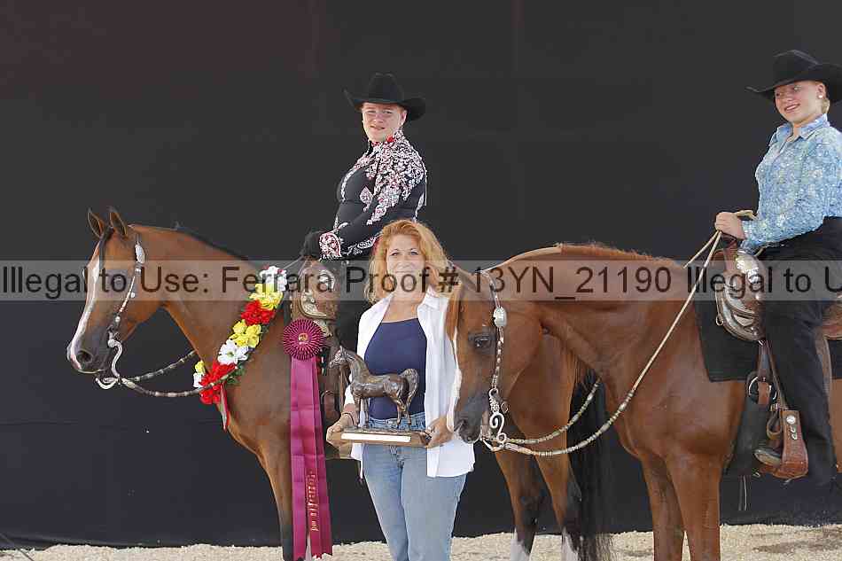 Proof 13yn_21190