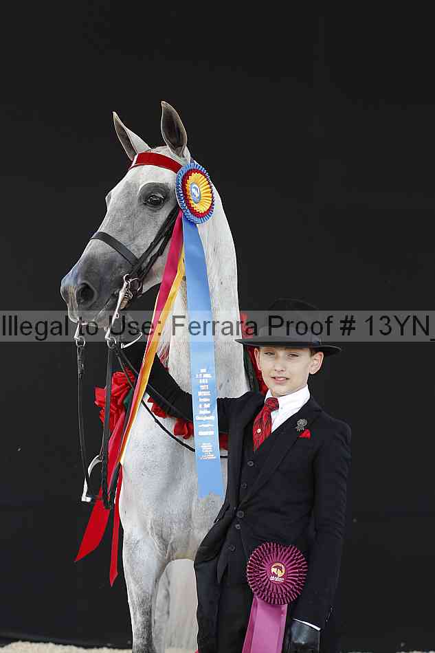 Proof 13yn_21197