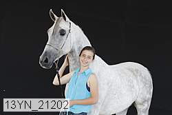 13yn_21202 proof
