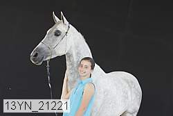 13yn_21221 proof