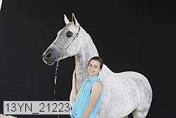 13yn_21223 proof