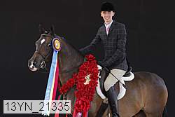 13yn_21335 proof