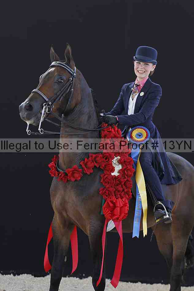 Proof 13yn_07209