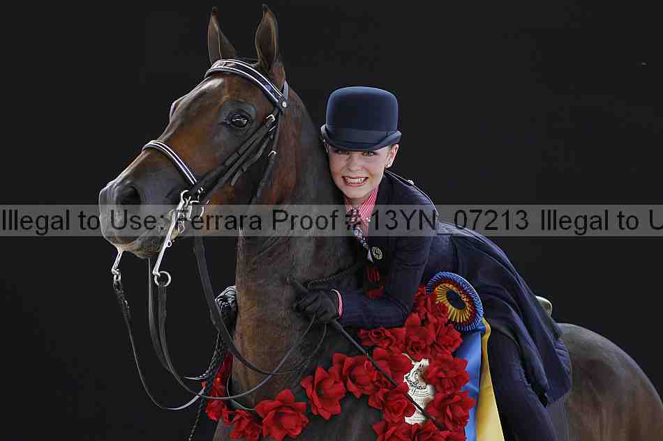 Proof 13yn_07213