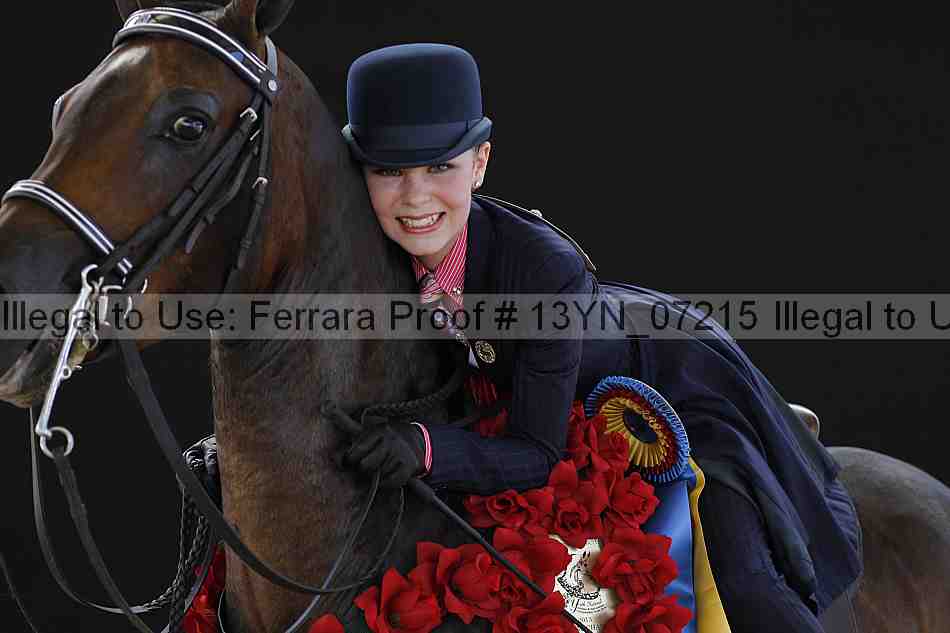Proof 13yn_07215