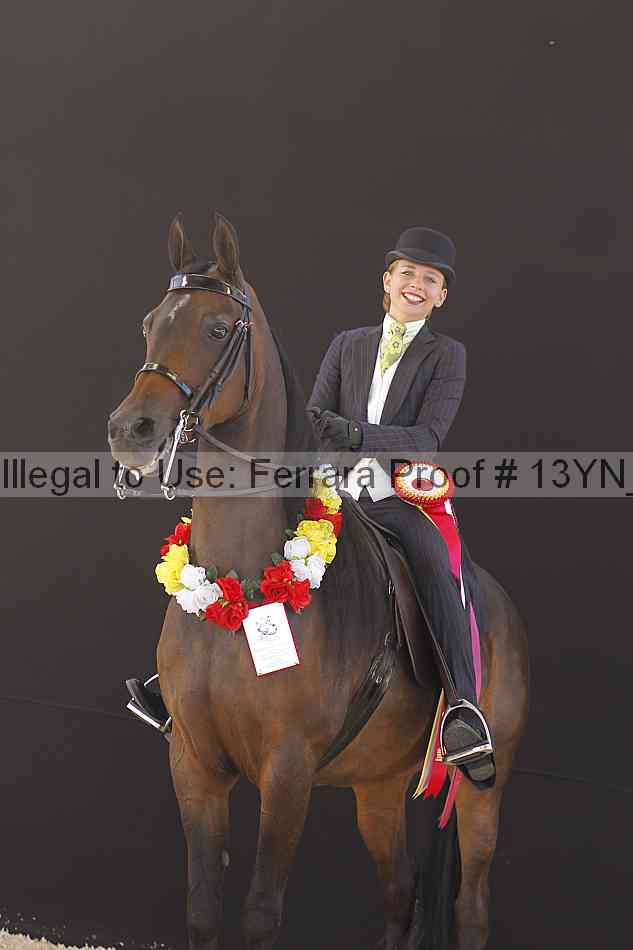 Proof 13yn_08032
